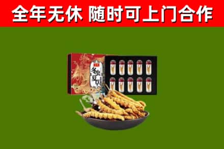 石台回收冬虫夏草价格